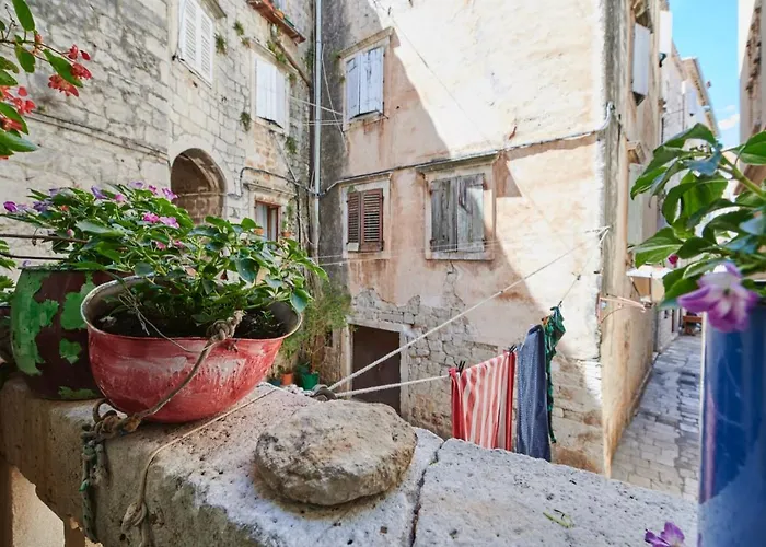 Baba Zorka Apartament *